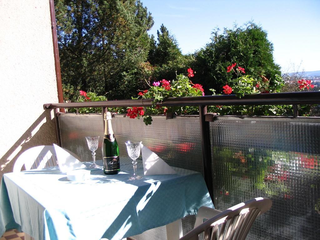 Penzion Kalina Tábor Habitación foto